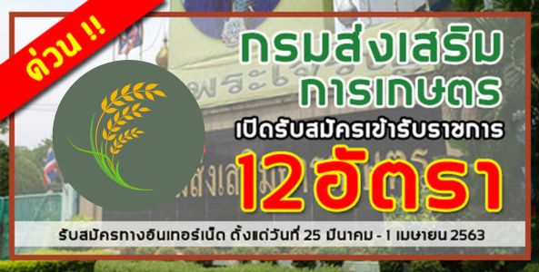 ด่วน!! กรมส่งเสริมการเกษตร เปิดรับสมัครสอบเป็นพนักงานราชการ 12 อัตรา